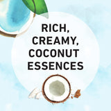 Ingredients of coconut essence shampoo in a detailed layout